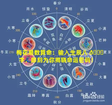 梅花易数算命：输入生辰八 🐈 字，即刻为你揭晓命运密码！